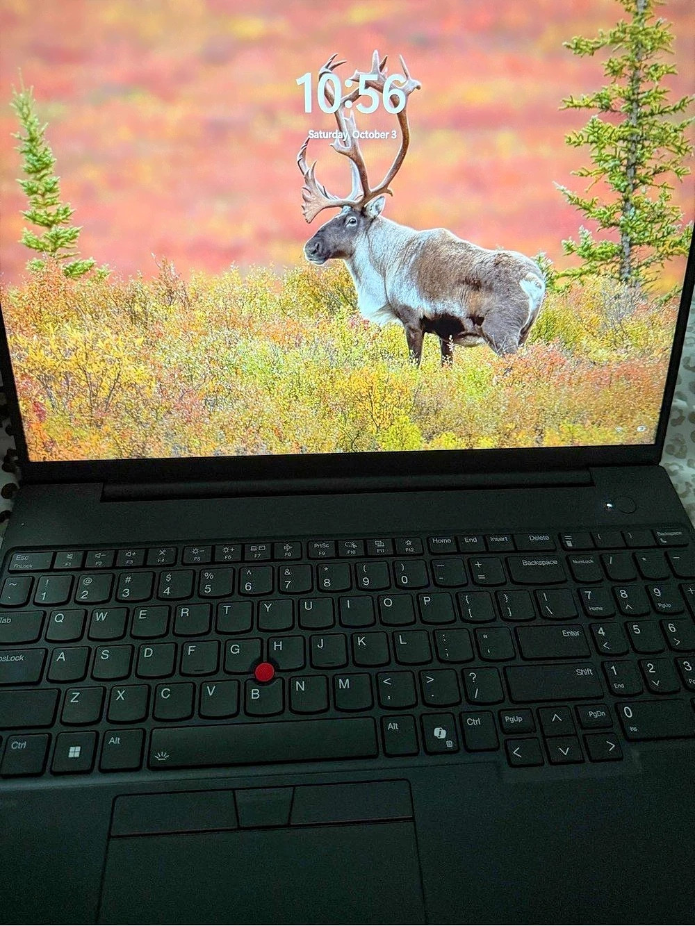 Lenovo Laptop Black